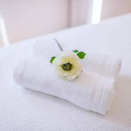 The Millennial Lifestyle By Amazing Madeira Apartman Funchal