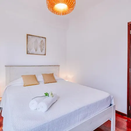 The Millennial Lifestyle By Amazing Madeira Funchal