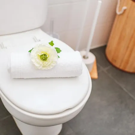 The Millennial Lifestyle By Amazing Madeira Apartman Funchal