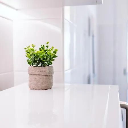 The Millennial Lifestyle By Amazing Madeira