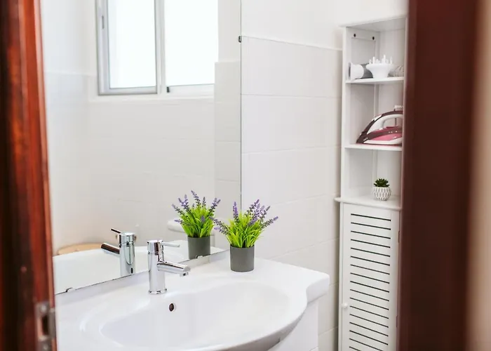 The Millennial Lifestyle By Amazing Madeira Apartment